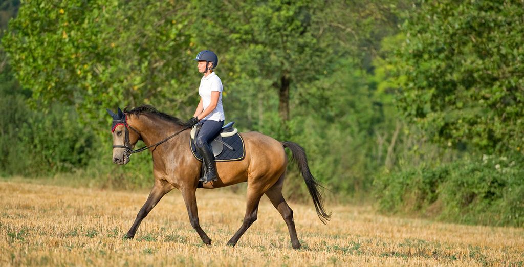 Conditioning Program For Horses