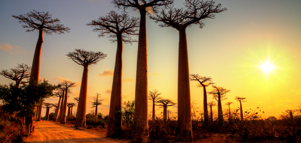 Circuit Sur les Routes du Sud en 10 nuits / 11 jours