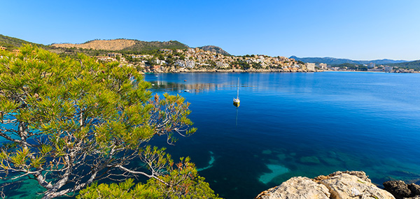 Hôtel The Fergus Resort 4*