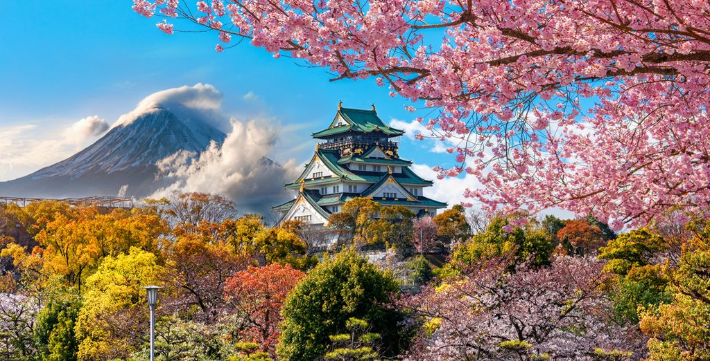 Rundreise durch das facettenreiche Japan