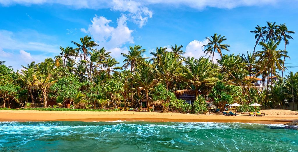 Rundreise Sri Lanka & Erweiterung in Avani Bentota