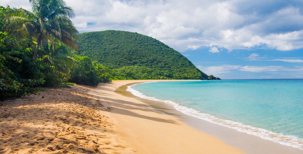 Caraibes bonheur guadeloupe