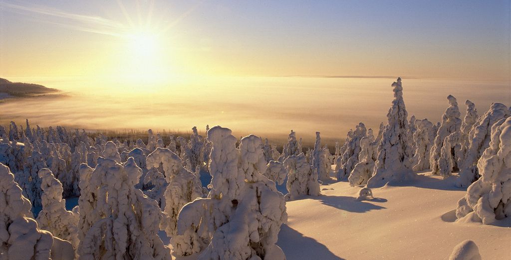 Fins Lapland - Salla