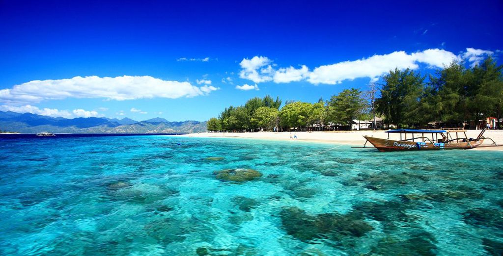 De kleuren van Bali & Gili - Ubud
