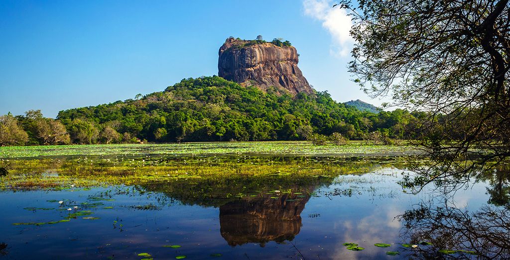 Ontdekking van de tempels van Sri Lanka en verblijf aan zee