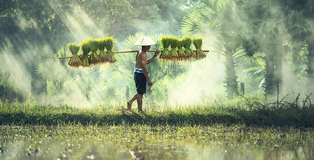 Rondreis Cambodja - Phnom Penh