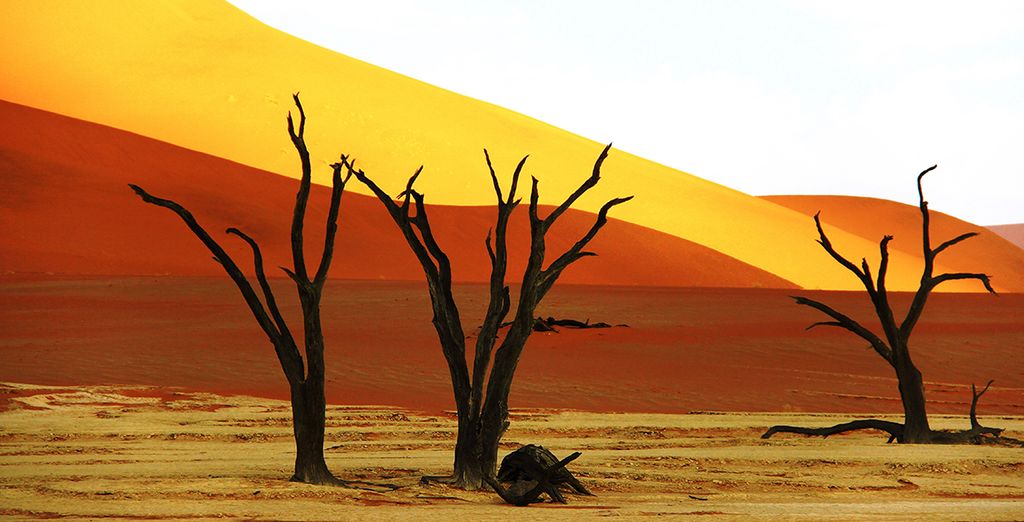 Autotour Namibië: Mosaique Culturelle