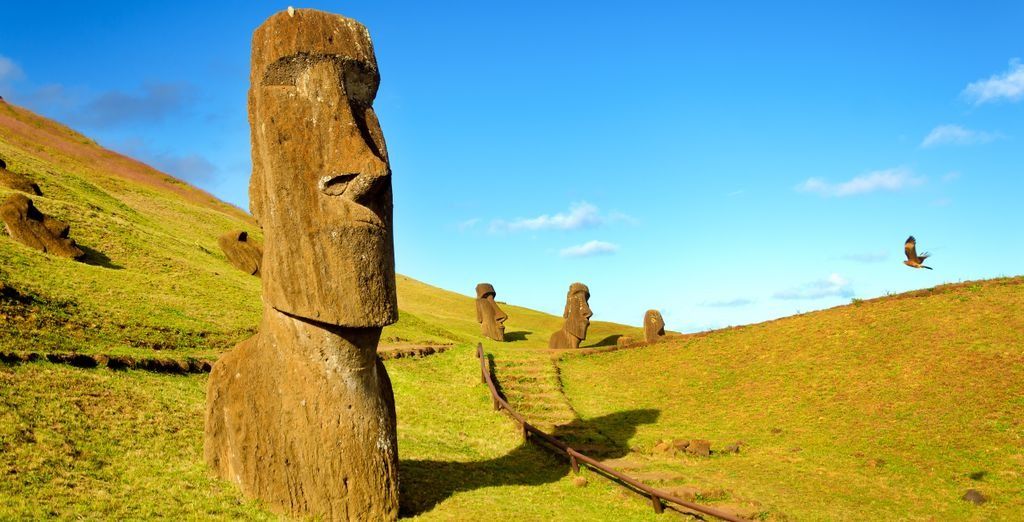 Private Tour durch Chile Chile Bis zu 70 Voyage Privé