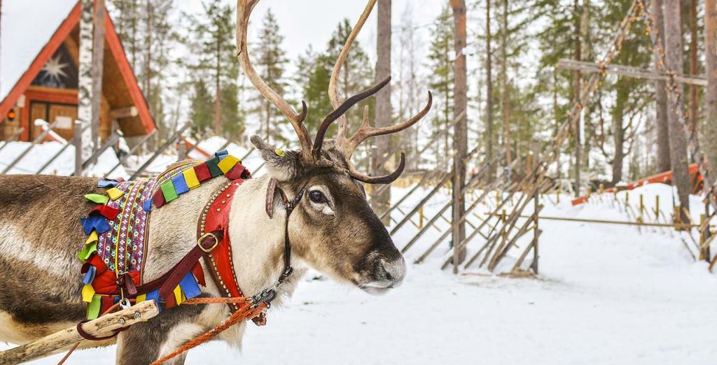 Nordlichter & Barentssee Tour