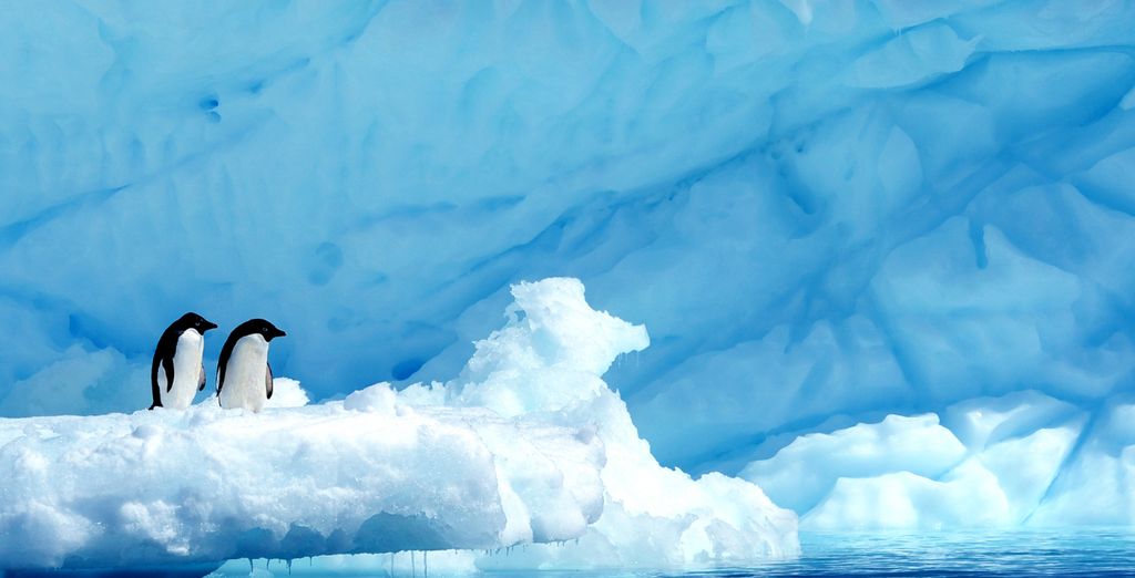 Expeditionskreuzfahrt: Wunder der Antarktis
