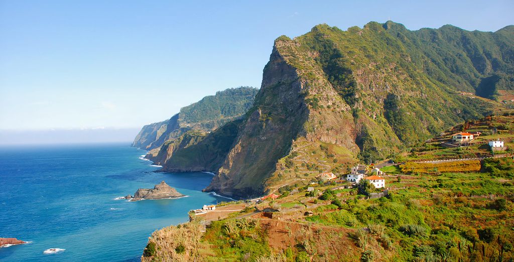 Die sch&ouml;nsten Bl&uuml;ten der Blumeninsel - Madeira