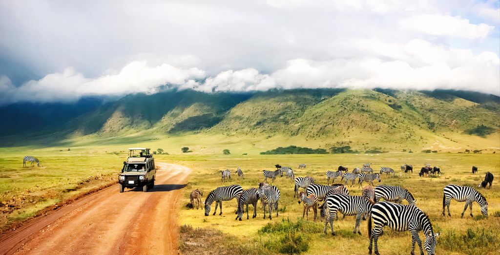 Safari mit Verl&auml;ngerung auf Sansibar in 12-17 N&auml;chten