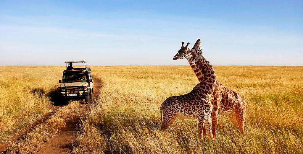 3 oder 5 Nächte Tansania-Safari mit optionaler Verlängerung auf Sansibar