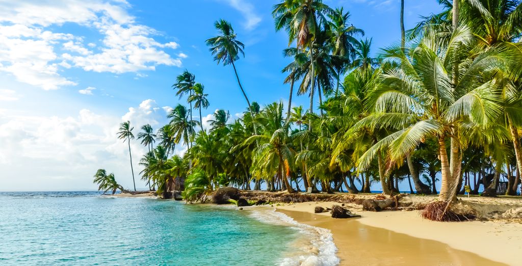 Tropische Natur Paradiesinseln Panama