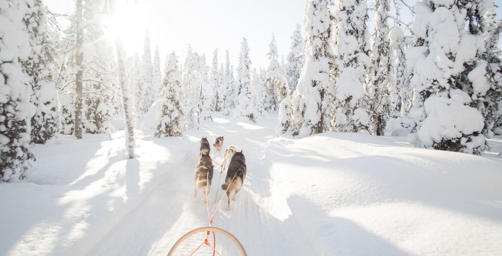 Tour durch Troms&oslash;