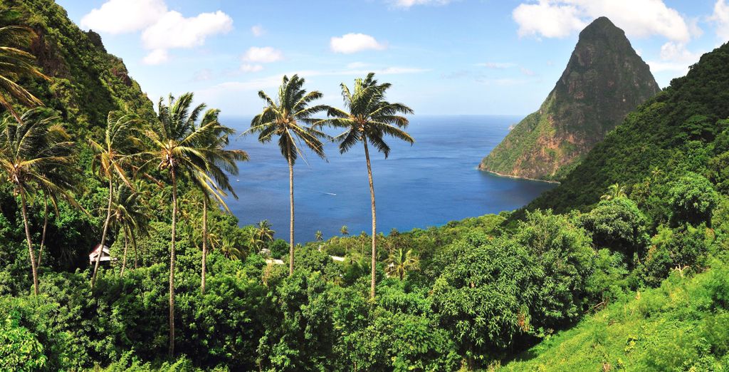 Royalton Saint Lucia 5*