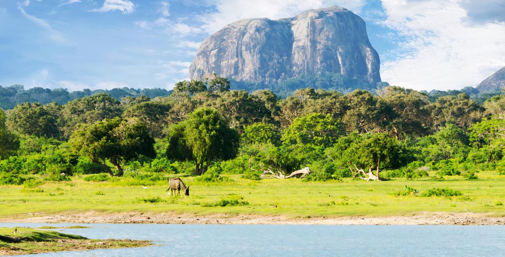 H&ouml;hepunkte Sri Lankas mit Strandverl&auml;ngerung