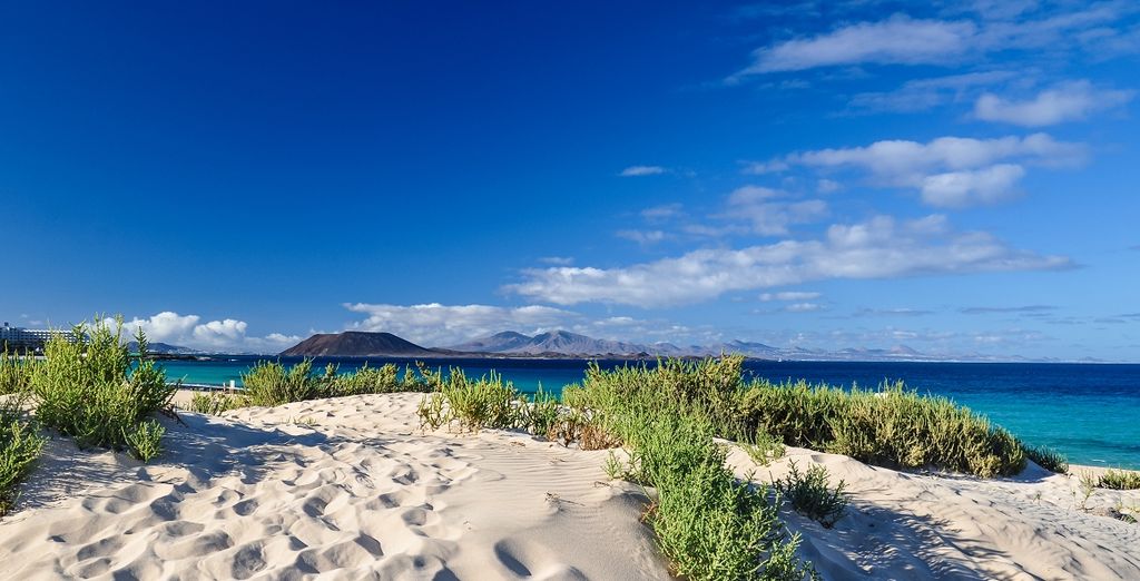 Bewertungen Lemon Soul Cactus Garden 4 Corralejo Voyage Prive