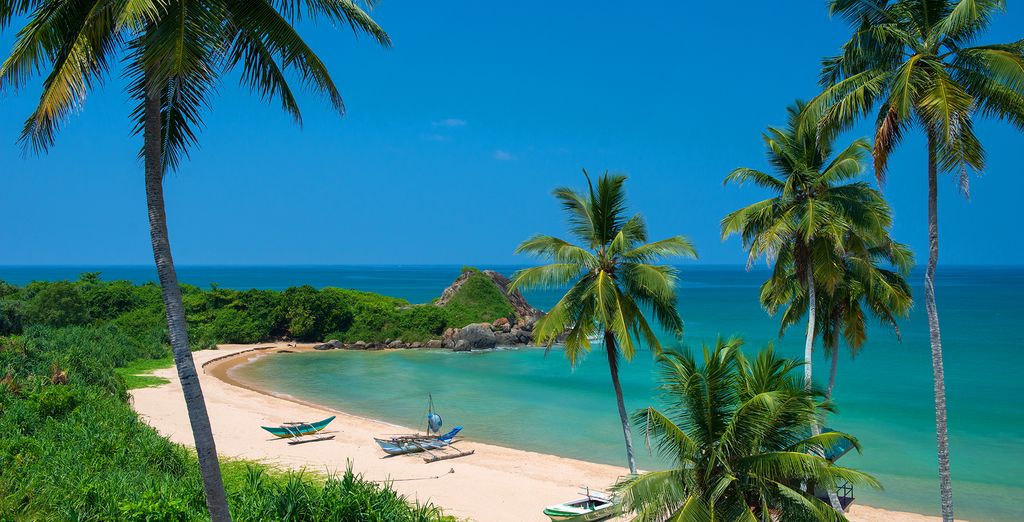 Rundreise Sri Lanka & Shinagawa Beach Hotel 4*