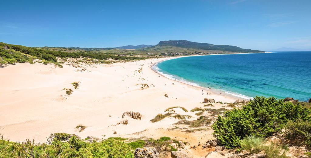 Alegría Costa Ballena 4*