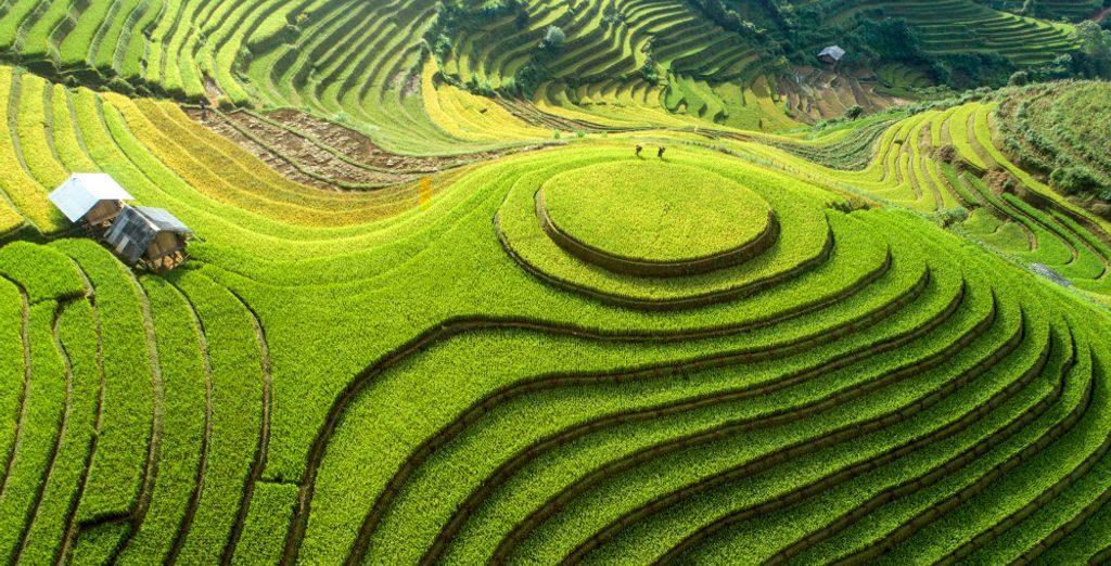 Rundreise Vietnam & Badeurlaub in Phan Thiet / Mui Ne