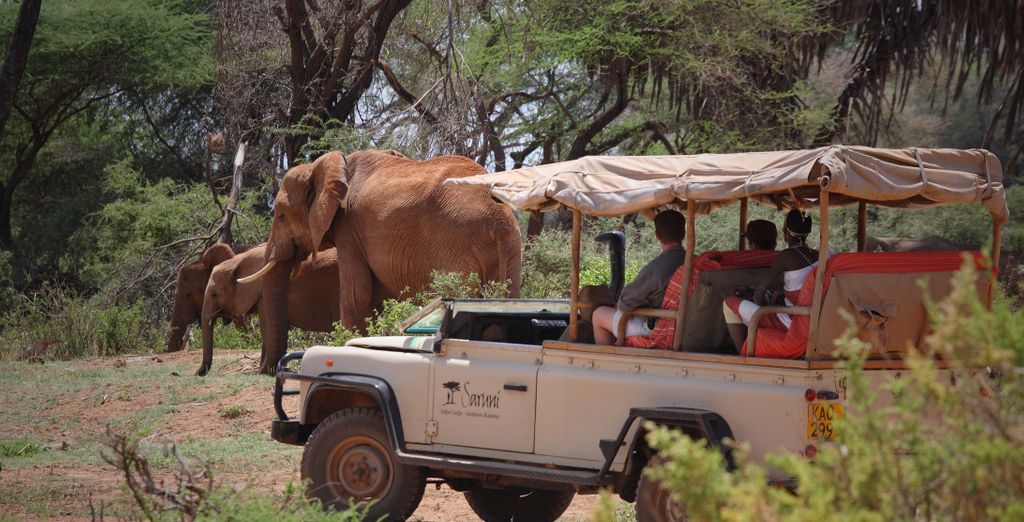 Safari in Kenia – 6 Tage Nairobi, Samburu & Masai Mara