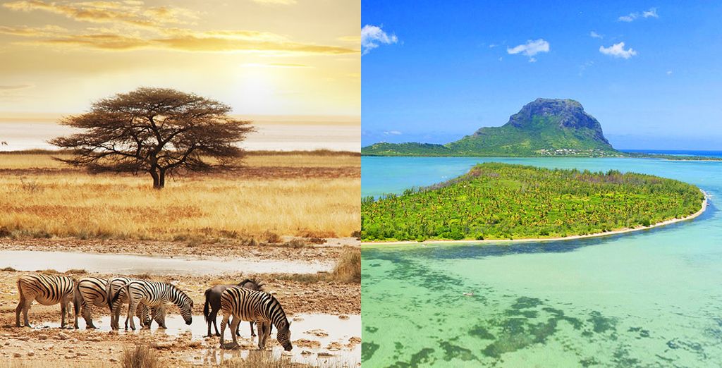 Kombinierte Rundreise nach Südafrika und ins Westin Turtle Bay Resort & SPA 5* Hotel auf Mauritius