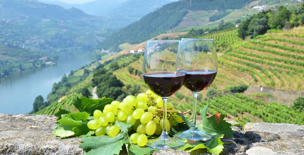 Combinado en libertad: Ruta del Vino de Oporto y el Duero