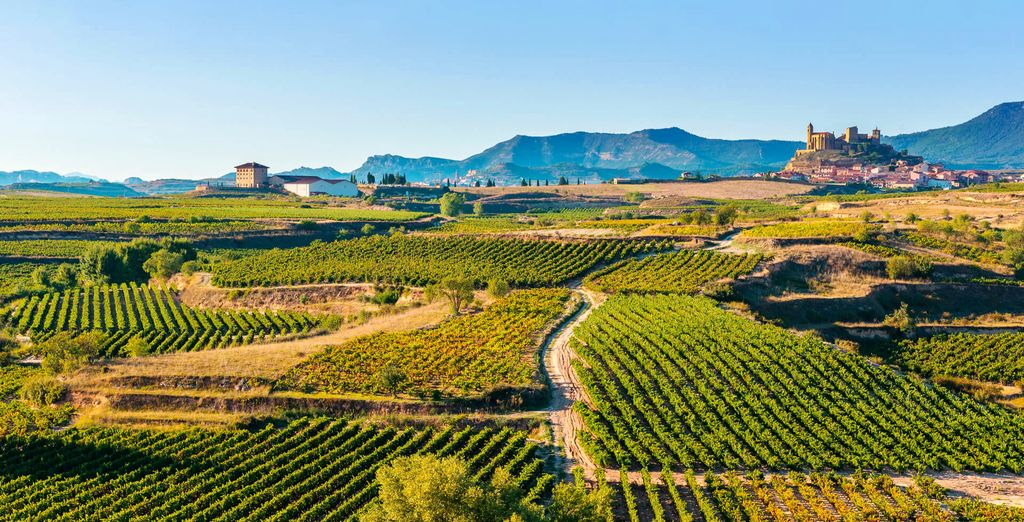 Wine & Soul Suites en Haro