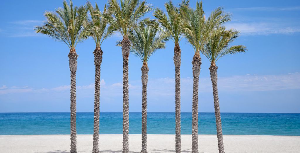 Hotel Neptuno ubicación céntrica Roquetas