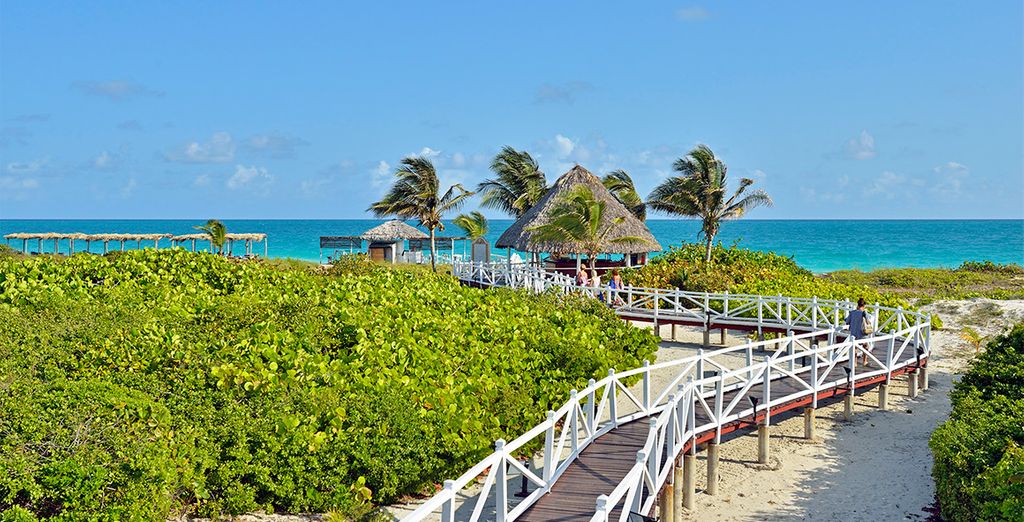 Combinado Meliá Habana y Meliá Las Dunas