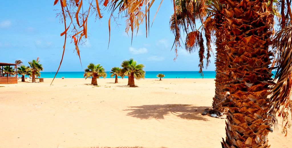 Meliá Tortuga Beach 5*