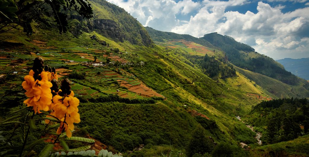 Ceylán - La Perla del Índico