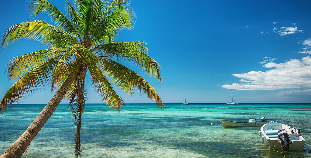 Coral Level at Iberostar Selection Bavaro 5*