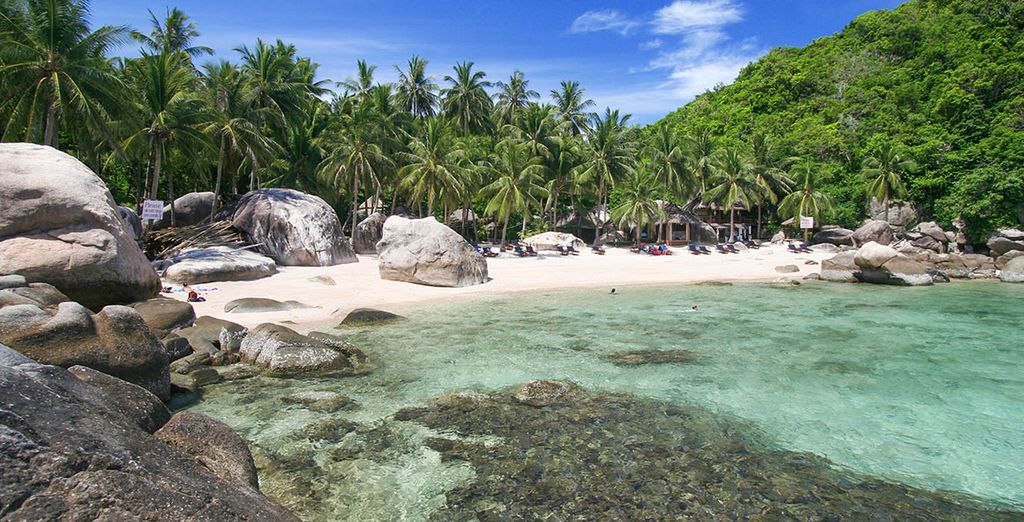 Combinado Bangkok y Koh Tao