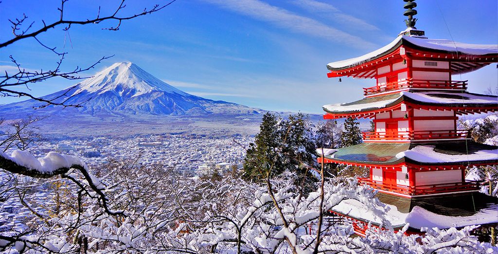 Maravillas de invierno en Japón