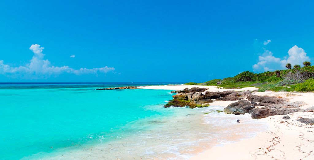 Gild Hall Hotel 4* Nueva York y Hard Rock Hotel 5* Riviera Maya
