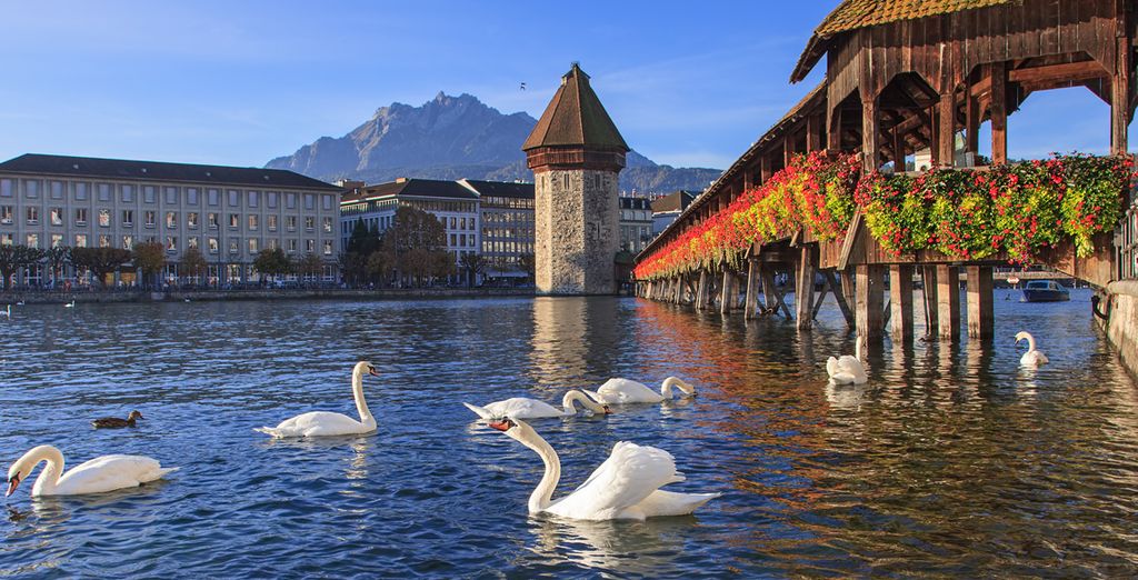 Suiza y Selva Negra con Chamonix