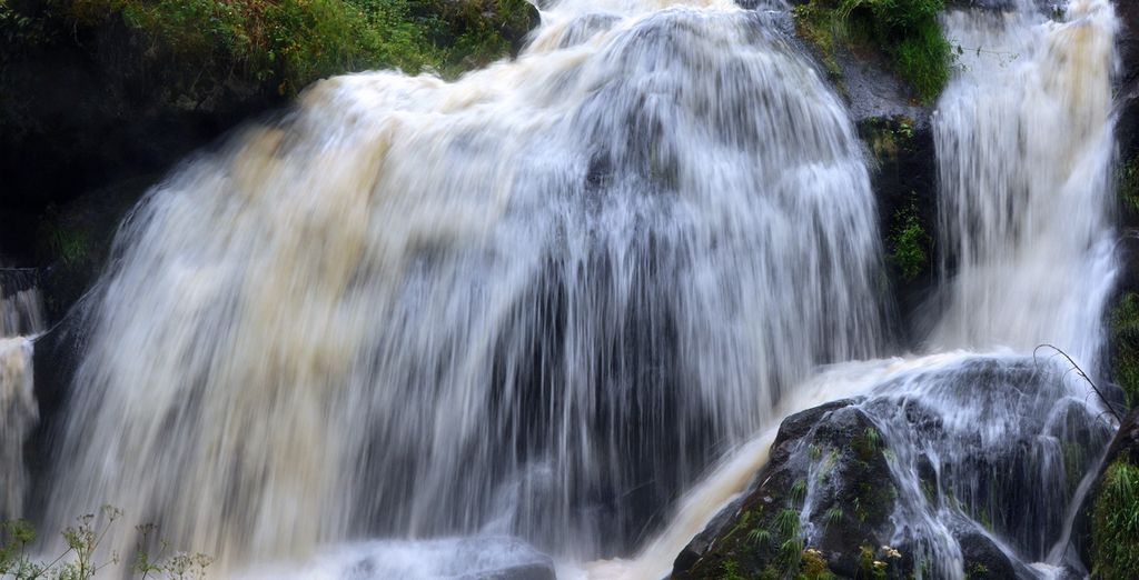 Suiza y Selva Negra con Chamonix
