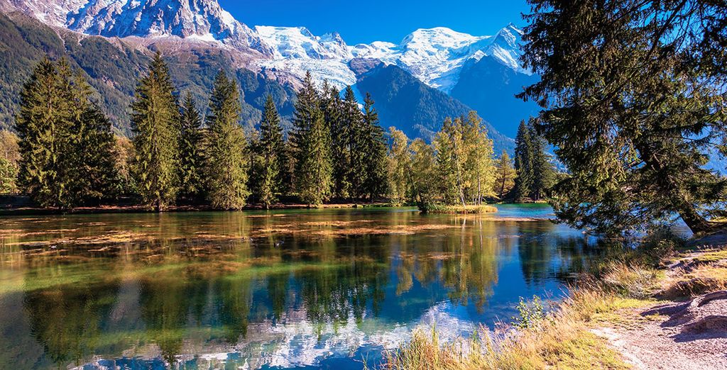 Suiza y Selva Negra con Chamonix