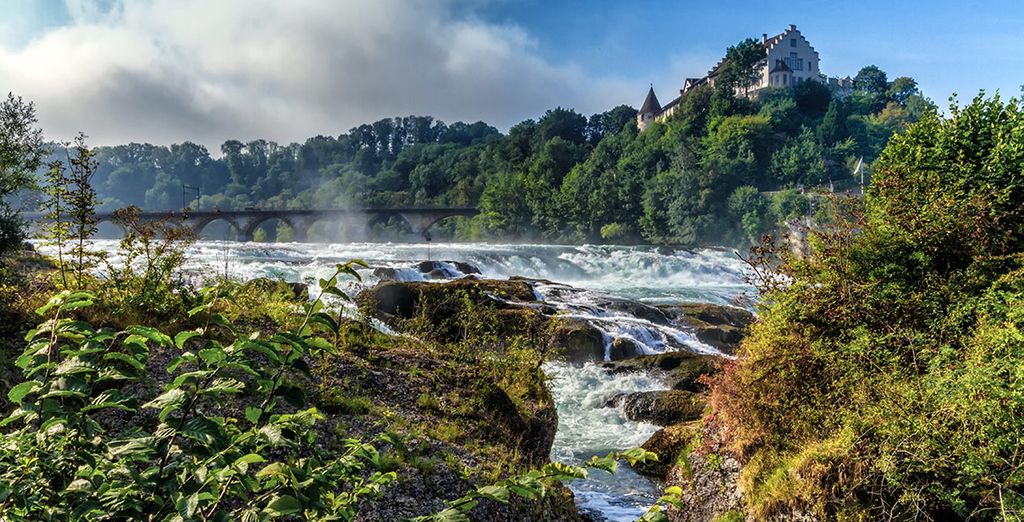 Suiza y Selva Negra con Chamonix