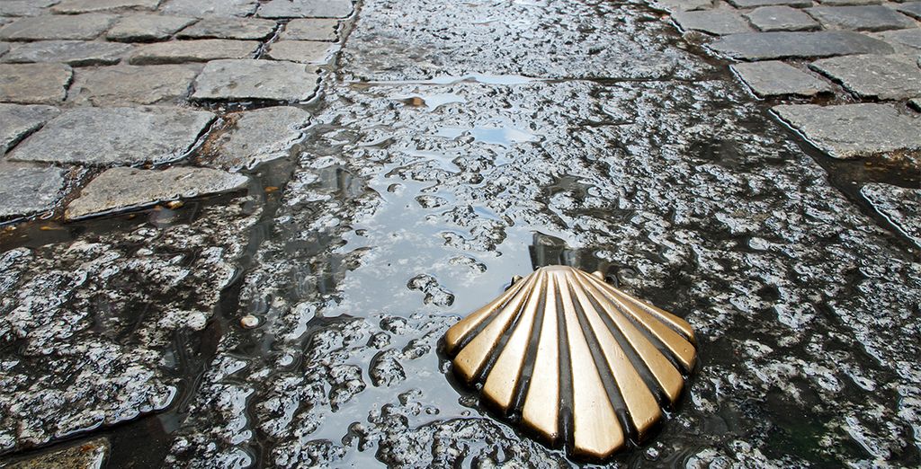 Hotel Vía Argentum 4*