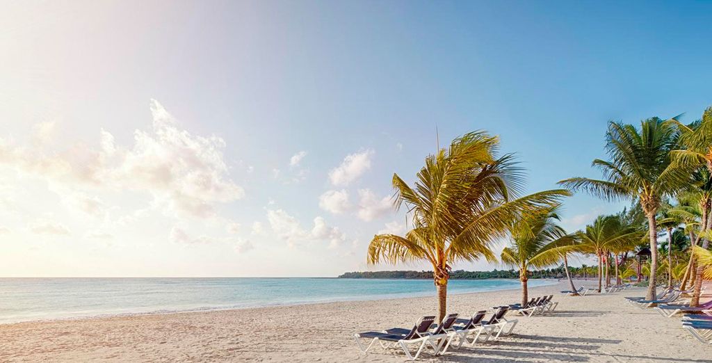 Omni Berkshire Place 4* y Barceló Maya Beach 5*