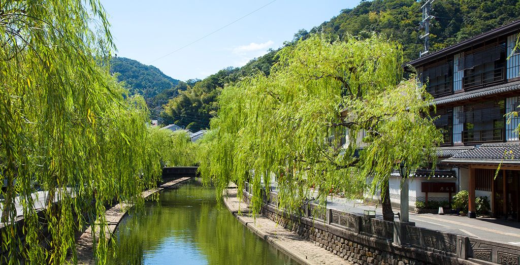 Descubriendo el lado zen de Japón