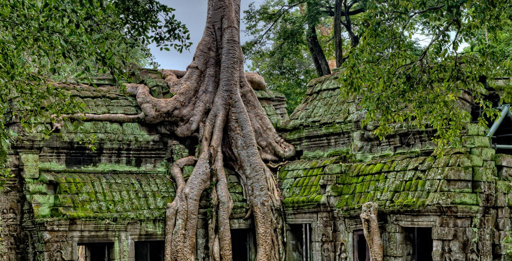 Vietnam mágico y Templos de Angkor