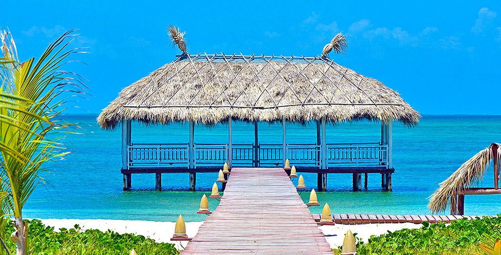 Combinado Casa Particular y Meliá Buenavista 5* - Solo Adultos