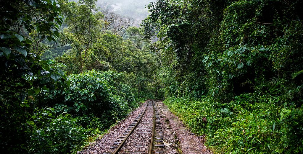 Perú auténtico en tour privado