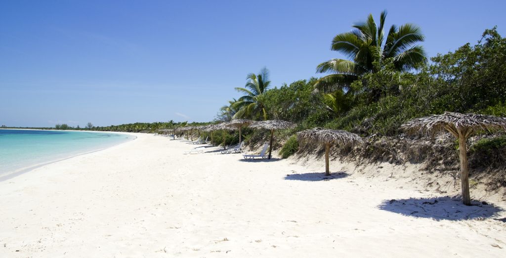 Aprende a bailar salsa en Cuba - Solo adultos