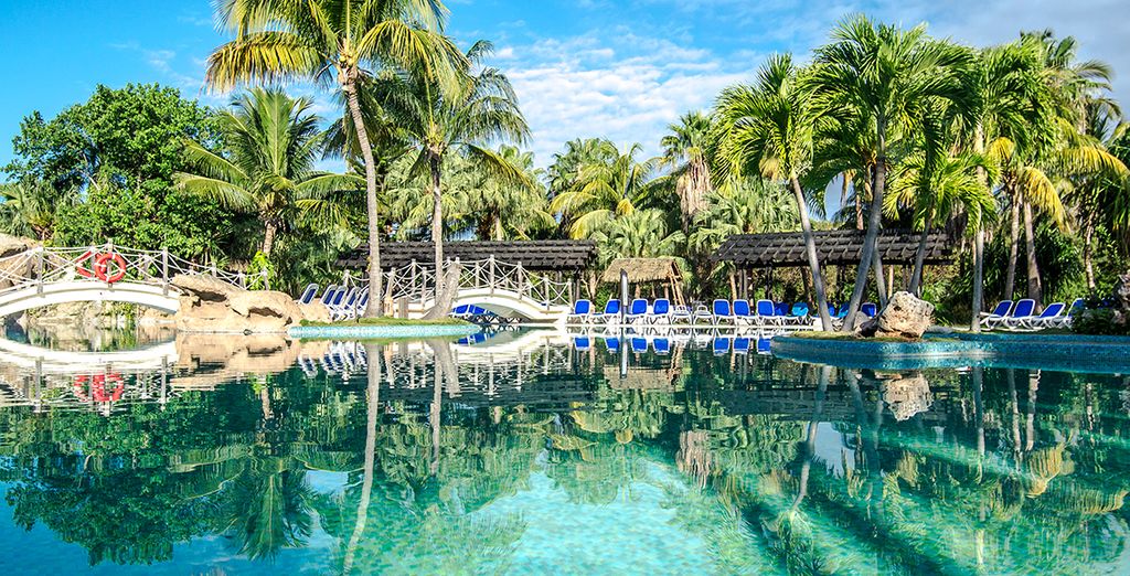 Aprende a bailar salsa en Cuba - Solo adultos