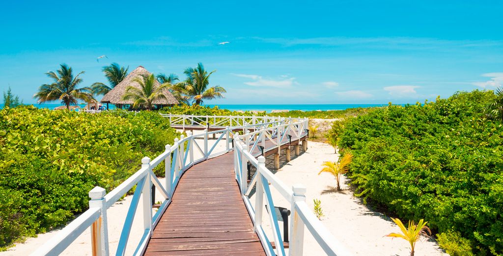 Aprende a bailar salsa en Cuba - Solo adultos